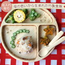 【名入れ有り】FUNFAM トトロデラックスセット　ファンファン 竹製食器 日本製 ジブリ
