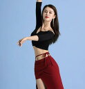 ショートトップス ダンス衣装 衣装 ダンス ベリーダンス ベリーダンス衣装 華やか かわいい 大人可愛い きれいめ シンプル カジュアル 大人 上品 おしゃれ ...
