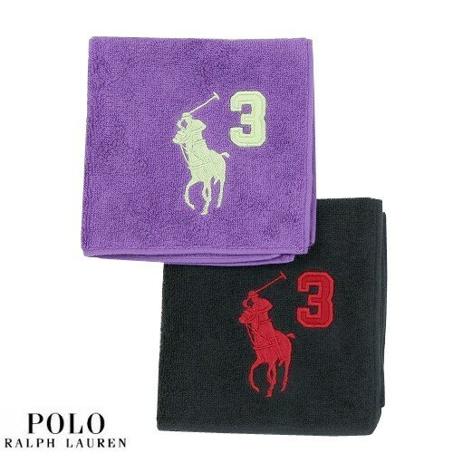 ポロ ラルフ ローレン ハンカチ レディース ポロ・ラルフローレン タオルハンカチ 2枚セット POLO RALPH LAUREN メンズ レディース ブランド ギフト 日本製 ナンバリングポロ刺繍 黒×紫 23/11/1 021123【ネコポスで送料無料】