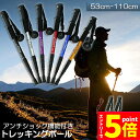 ★P5倍 スーパーセール★トレッキングポール 2本セット 軽量 登山用ストック ウォーキングポール 登山 アルミ製 I型 伸縮 長さ調整 コンパクト 登山杖 滑り止め 登山 ハイキング ウォーキング トレッキング(4)