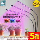 \P5倍 お買い物マラソン期間/植物育成ライト LED植物育成灯 室内栽培ランプ 2個セット 3つ照明モード 9段階調光 観葉植物 3ヘッド式ライト 5v 60...