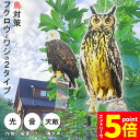 \P5倍 お買い物マラソン期間/鳥よけ 鳥よけフクロウ 鳥よけテープ 反射板 鳥よけグッズ 鳥対策 防鳥対策 鳥被害 鳥撃退 鳥の糞 カラス撃退 鳩撃退グッズ ...