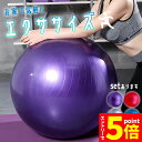 ●P5倍 マラソン期間●バランスボール ヨガボール ヨガ 椅子 直径5...(4)