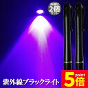★P5倍 マラソンセール★ブラックライト 2本セット ミニ 小型 紫外線ライト LEDライト 395nm UVライト ハンディUV懐中電灯 防水 レジン用硬化ライト 夜釣り ペットのオシッコ 汚れ対策 送料無料