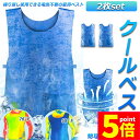 ★P5倍 マラソンセール★冷却ベスト 水冷 クールベスト 2枚セット 冷感ベスト 空調服 物理冷却 熱中症 猛暑対策 冷却服 ひんやりグッズ 保冷 工事現場 工場内 屋外 スポーツ 冷感 涼しい 保冷服 農業 屋外作業 釣り 暑さ対策 夏