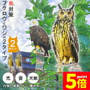 ★P5倍 マラソンセール★鳥よけ 鳥よけフクロウ 鳥よけテープ 2個セット 反射板 鳥よけグッズ 鳥対策 防鳥対策 鳥被害 鳥撃退 鳥の糞 カラス撃退 鳩撃退グ...