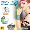 冷感アイスバンド クール リストバンド 2サイズ選べる 2セット ブルー スポーツ用 リストバンド 冷却 涼しい 男女兼用 フィットネス ジム エクササイズ 夏...