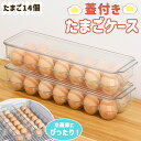 卵ケース 玉子ケース 14個収納 冷蔵庫 たまご 卵 玉子 ケース 卵入れ 収納ケース 蓋付き トレー クリア 35cm 冷蔵庫収納 保存 冷蔵庫用 透明 蓋 ...