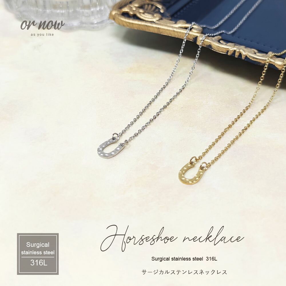 ステンレス ネックレス チェーン サージカルステンレス 316L ホースシュー 槌目 シンプル きれいめ レディース ネックレス ギフト 贈り物 プレゼント 金...