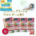 20時!クーポン&抽選ポイントバック★ クナイプ バスソルト 入浴剤 4回分 ウィンターグリーン&ワコルダー 香り メール便 ギフト kneipp プレゼント トライアル 使い切り 袋 分包 個包装 天然岩塩 お風呂