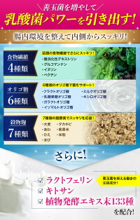 hikidasuseibun