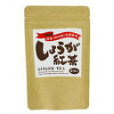 高知県生姜チップ入り しょうが紅茶 2g×8P ティーバッグ