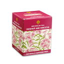 NEW ENGLISH TEAS ニューイングリッシュティー ローズヒップ&ハイビスカス ティーバッグ 20g(2g×10袋) ハーブティー