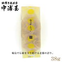 石川県輪島市 中浦屋 柚子せんべい 38g 柚餅子総本家中浦屋 プチギフト ギフト 手土産 柚子
