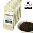 セイロン ウバ BOP 250g(50g×5) 紅茶 リーフ 茶葉 スリランカ