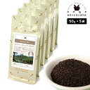 セイロン キャンディ BOP 250g(50g×5) 紅茶 リーフ 茶葉 スリランカ