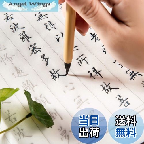 ̵̼㿴 ̷ѻ楻å(20̷лɮڥ) ʸڡդ ʤ դ 礭67cm35cm 5cm