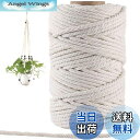【送料無料】Tenn Well 6mm 綿紐, 50M マクラメロープ 手芸 壁掛け おもちゃ 盆栽 キャットタワーとぎ修理などに (ベージュ)