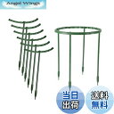 【送料無料】LIKENNY 園芸支柱 植物支柱 花ささえ スライド支柱 T形 高さ25cm 10本組セット 耐久 部屋の装飾 使いやすい 植物成長 植物サポート...
