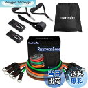 【送料無料】TheFitLife トレーニングチューブ チューブ トレーニング 筋トレチューブ (緑/黒/橙/灰/茶)