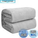 【送料無料】Hansleep 毛布 セミダブル 冬用 ブランケット もうふ 160x200cm マイクロファイバー 柔らかく肌触り フランネル 洗える 軽量 静電防止 四季適用 (160x200,アイスグレー)
