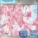 【送料無料】U-SITU タペストリー 壁掛け 壁飾り 桜舞い 桜見 満開桜 自然景色 オシャレ 背景 多機能 布ポスター インテリア 雰囲気転換(サイズ:長さ180cm x 幅230cm)カラー:GT0122C