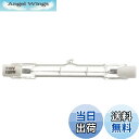 【送料無料】オーム電機 ハロゲン電球 ハロゲン球 100W/110V 1個入 センサーライト用 LS-P-1001 06-4921 OHM