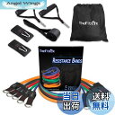 【送料無料】TheFitLife トレーニングチューブ チューブ トレーニング 筋トレチューブ (青/緑/赤/黒/橙)