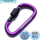 【送料無料】TITECOUGO アウトドア カラビナ おしゃれ 登山 小型 アルミ Dフック 頑丈 ネジロック バンジーコード ブランコ hammocks ハン...