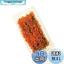 【送料無料】花 ジオラマ用素材 草花シリーズ オレンジ 情景コレクション グラス模型 建物モデル 装飾 風景 箱庭 鉄道模型 ジオラマ PJ07OR-1JP
