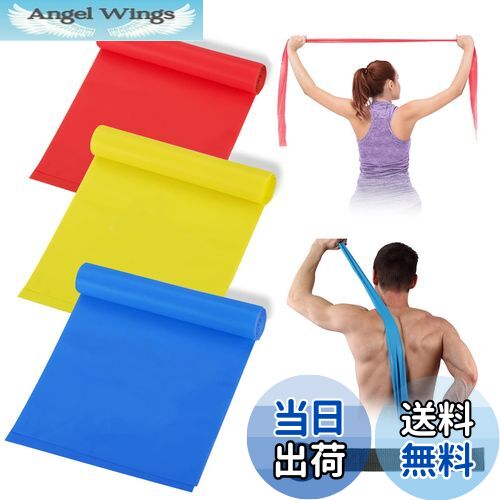 【送料無料】roseddy トレーニングチューブ チューブトレーニング エクササイズバンド レジスタンスバ..