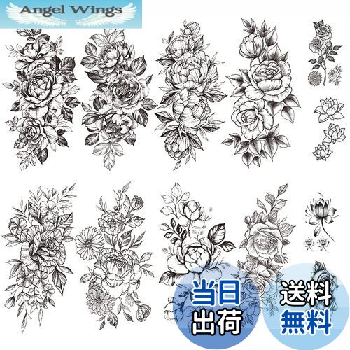 ̵Yesallwas ȥ    Х 12祻å ϥ ꥢ ɿ Ĺ ĥ ܥǥ  ǥ...