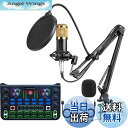 【送料無料】X60 DJ ミキサー オーディオインターフェース ボイスチェンジャー マイク セット オーディオミキサー ポータブル ポッドキャストステレオミキサー pa & ステージ機器用 ミキサー マルチエフェクタープロセッサー 配信機材 Android/ios/Windows/mac OS対応 YouTub