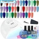 【送料無料】JODSONE Gel Nail Polish Kit 色:20-SUN1G-KIT-01G、サイズ:(5ml)0.169 oz