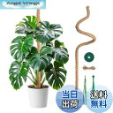 【送料無料】Mcbazel 観葉植物 支柱 モンステラ 120CM 園芸用支柱 曲げ可能 ココナッツ・つる植物支柱 ガーデニング用具 7MM幅 コイアポール成長用 維持水分・養分維持・農業・ 園芸用