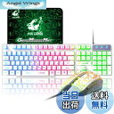 【送料無料】LexonTech ゲーミングキーボード 日本語配列 USBメンブレン式 有線 防水多機能マルチメディアキー 2400DPI調整でき 6つのボタン + マウスパッド (ホワイト)