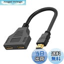 【送料無料】LeTradeJP HDMI分配器 同時出力 2画面 3D 1080p HDMI1.4分配機 スプリッター オス-2ポートHDMIメス 金メッキ端子 HDTV 1080P/3D/Xbox/PS3/4/5/HDTV/DVD PC対応 30cm