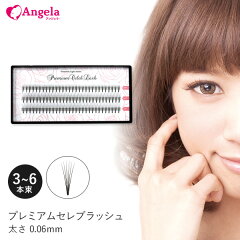 https://thumbnail.image.rakuten.co.jp/@0_mall/angela-lash/cabinet/04593474/newkago/ms.jpg