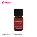 まつげエクステ プロ用 ホリスティック グルー強化剤 5mL 接着力アップ 施術時間短縮 強く しっかりピタッと固定 メール便可 アンジェララッシュ D10