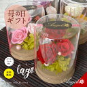 母の日 花 プリザーブドフラワー 即日発送 ブリザードフラワー プレゼント 贈り物 ナチュラル 自然素材 ガラス ドーム 枯れない 花 ギフト 開店祝い 開業 ...