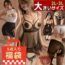 【最大1500円OFFクーポン有】セクシーランジェリー 福袋 大きいサイズ 過激 超過激 2L 3L サイズ お楽しみ袋 穴あき パンティ 過激 超過激 セクシ...