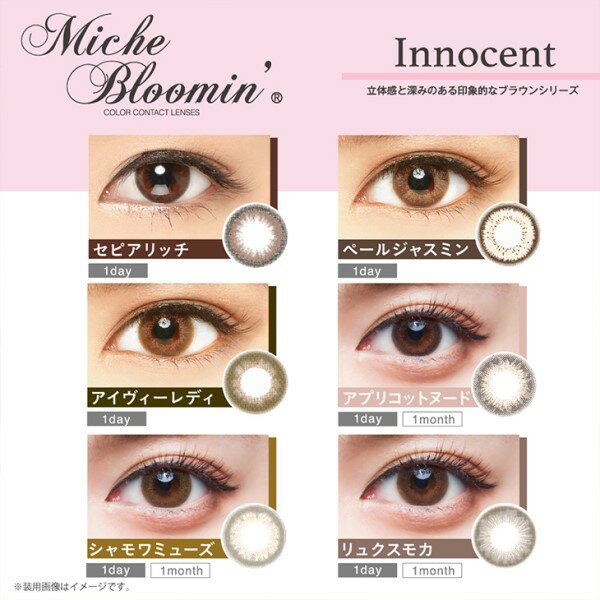 ★マラソンP5倍★【ネコポス送料無料】Miche Bloomin ミッシュブルーミン クォーターヴェール イノセントシリーズ 10枚入×1箱 |アイズワン 度なし 度あり カラコン カラー コンタクト contact lens color 日抛 美瞳