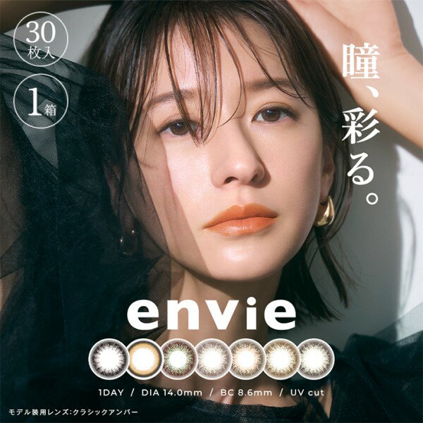 envie 1day アンヴィワンデー (30枚...の商品画像