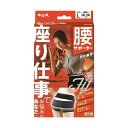 \300円OFFクーポン★3日19:59迄/中山式 ボディフレーム 座り仕事 腰用 Lサイズ | コルセット 腰痛 補助ベルト 腰痛ベルト 腰 サポーター 腰痛...