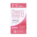 【最大500円OFFクーポン★7/19 19:59迄】【第3類医薬品】 チアビタミン錠B 60錠 (約2ヵ月分)