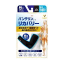 \300円OFFクーポン★3日19:59迄/バンテリンコーワ リカバリー アームスリーブ 腕 ふつう 大きめ M L コスモブラック 2枚入 ブラック 黒 バン...