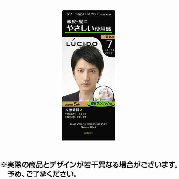 ルシード ワンプッシュケアカラー ナチュラルブラック 7 (50g+50g) ルシード ワンプッシュ カラー ナチュラル ブラック マンダム 白髪染め 男性用 メンズ カラー剤