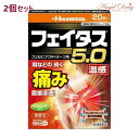 【GW100円オフクーポン】 【第2類医薬品】【2個 ネコポス送料無料】フェイタス5.0 温感 (20枚入) フェイタス フェイタス5.0 湿布 シップ 肩こり 筋肉痛 痛み 温感 サイズ 岡田 湿布 効果 肩こり 解消グッズ 肩凝り 腰痛 筋肉痛 久光製薬 hisamitsu