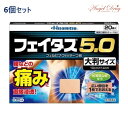 【第2類医薬品】【6個 送料無料】フェイタス5.0 大判サイズ (20枚入) フェイタス フェイタス5.0 大判 湿布 シップ 肩こり 筋肉痛 痛み 涼感 大判サイズ 湿布 冷感 効果 肩こり 解消グッズ 肩凝り 腰痛 筋肉痛 久光製薬 hisamitsu