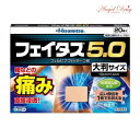 【GW100円オフクーポン】 【第2類医薬品】【ネコポス専用】フェイタス5.0 大判サイズ (20枚入) フェイタス フェイタス5.0 大判 湿布 シップ 肩こり 筋肉痛 痛み 涼感 大判サイズ 湿布 冷感 効果 肩こり 解消グッズ 肩凝り 腰痛 筋肉痛 久光製薬 hisamitsu